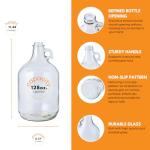 1 Gallon FastRack Glass Wine Fermenter with Airlock