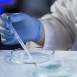 200-Pack 3ml Disposable Transfer Pipettes