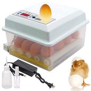 16-Egg Incubator with Automatic Turning & Humidity Control