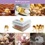 16-Egg Incubator with Automatic Turning & Humidity Control