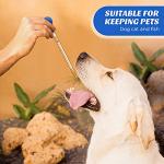 Weewooday Graduated Glass Droppers with Rubber Tops