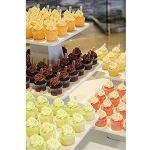 TOMNK 350 Pack 4ml Plastic Squeeze Pipettes