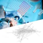 50PCS Reusable Inoculating Loop Holders with Nichrome Tips