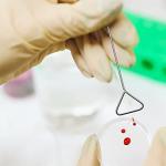 Baluue 5pcs Stainless Steel Cell Spreaders