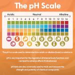 Universal pH Test Strips (200 ct) for Liquids