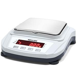 High Precision 2000g Digital Lab Scale