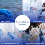 Sterile 47mm MCE Membrane Filter, 0.45µm, Pack of 100