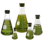 Corning Pyrex® Glass Flask Set with Stoppers