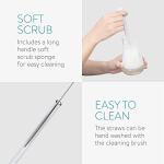 Navaris Lab Style Glass Set - 2 Scientific Cups