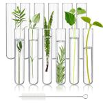 12pcs 70ml Borosilicate Glass Test Tubes