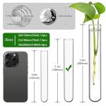 12pcs 70ml Borosilicate Glass Test Tubes