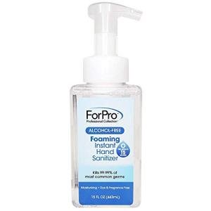 Alcohol-Free Foaming Instant Hand Sanitizer - 15 Oz