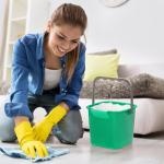 4-Pack 3 Quart Sanitizing Cleaning Buckets