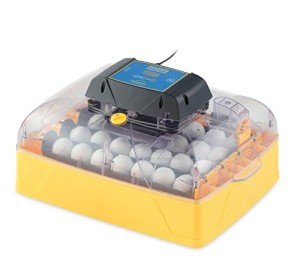 Brinsea Ovation 28 Advance Egg Incubator - Automatic