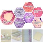 100pcs Human Histology Microscope Prepared Slides