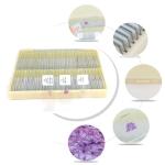 100pcs Human Histology Microscope Prepared Slides