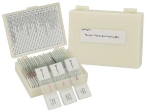 Human Tissue Microscope Slides Set, 30 Pieces