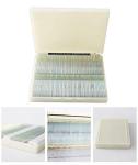 100 Microscope Prepared Histology Slides Set