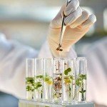 18pcs Clear Glass Test Tubes with Cork Stoppers