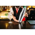 10-Piece Stainless Steel Cocktail Shaker Set