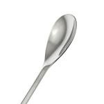 Maxmoral 2PCS 30cm Stainless Steel Lab Spoon Set