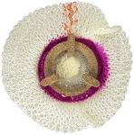 254 Soft Inverted Mantle Fitted - 2-Pack