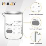 ULAB 250ml Heavy Duty Glass Beakers, Set of 6