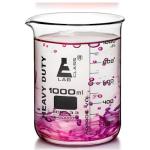 Borosilicate Heavy Duty 1000ml Beaker - Eisco Labs