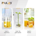 ULAB 250ml Heavy Duty Glass Beakers, Set of 6