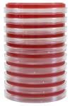 Bovine Blood Agar Plates for Mastitis Detection - Pack of 10