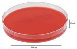 Bovine Blood Agar Plates for Mastitis Detection - Pack of 10