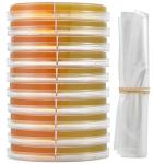 Derm-Duet Rapid Sporulation & Dermatophyte Test Biplate