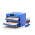 Automatic Egg Incubator with LED and Temperature Control