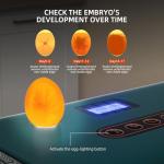 Youtemei Automatic Egg Incubator, 36 Egg Capacity