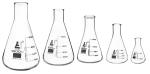 5-Piece Borosilicate Glass Flask Set