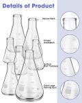 Glass Erlenmeyer Flask Set with Stirring Rods - 9 Pack