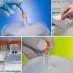 2ml Screw Cap Cryo Tubes - 100 Pack