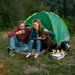 Portable 10-Liter Collapsible Ice Bucket - Gray