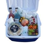 WORLD-BIO Reusable Dry Ice for Shipping Coolers