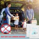 WORLD-BIO Reusable Dry Ice for Shipping Coolers