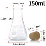 Glass Erlenmeyer Flask Set with Rubber Stoppers