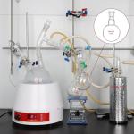 500 ml Heavy Wall Short Neck Round Bottom Flask