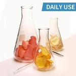 Glass Erlenmeyer Flask Set with Rubber Stoppers