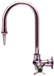 T&S Brass Wall Mount Lab Faucet with Gooseneck