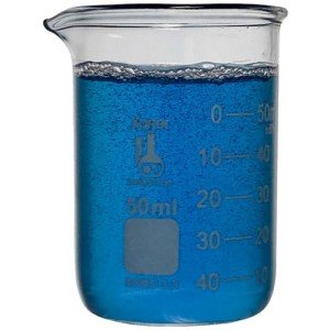 50 ml Graduated Borosilicate Beakers - Case of 48
