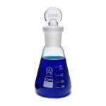 50ml Glass Erlenmeyer Flask with Stopper