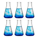 50ml Narrow Mouth Glass Erlenmeyer Flask Set, 6-Pack