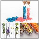 6ml Plastic Test Tubes with Cork Stoppers – 20 Pack