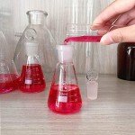 50ml Glass Erlenmeyer Flask with Stopper