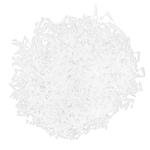 1000 Pack 0.2ml Micro Centrifuge Tubes with Lids